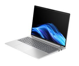 Laptop HP 250 G10 D89RZET, 15.6 inch 1920 x 1080, Intel 120U (10 C, 1.4 GHz - 5.0 GHz, 12 MB Intel Smart Cache cache, 15 W), 8 GB DDR4, 512 GB SSD, Intel Intel Graphics, Windows 11 Pro, Tastatura US, Negru