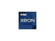 Procesor server Intel Xeon E-2356G, socket 1200, 6C / 12T, 3.20 - 5.00 GHz, 12 MB cache, 80 W