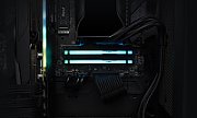 8GB DDR5-5600MT/S CL40 DIMM/FURY BEAST BLACK RGB