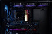 8GB DDR5-5600MT/S CL40 DIMM/FURY BEAST BLACK RGB