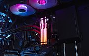 8GB DDR5-5600MT/S CL40 DIMM/FURY BEAST BLACK RGB